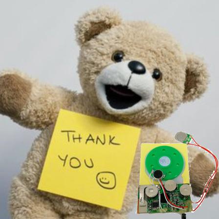 Modul-Realzeit PWBs MP3-IC aufnahmefähige solide für Gruß-Karten-Geschenk 6