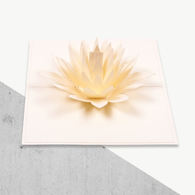 Knall des Offsetdruck-3D, der oben FCC-Zertifikate Karten-Wildwasser-Lily Shape-CER-ROHS grüßt